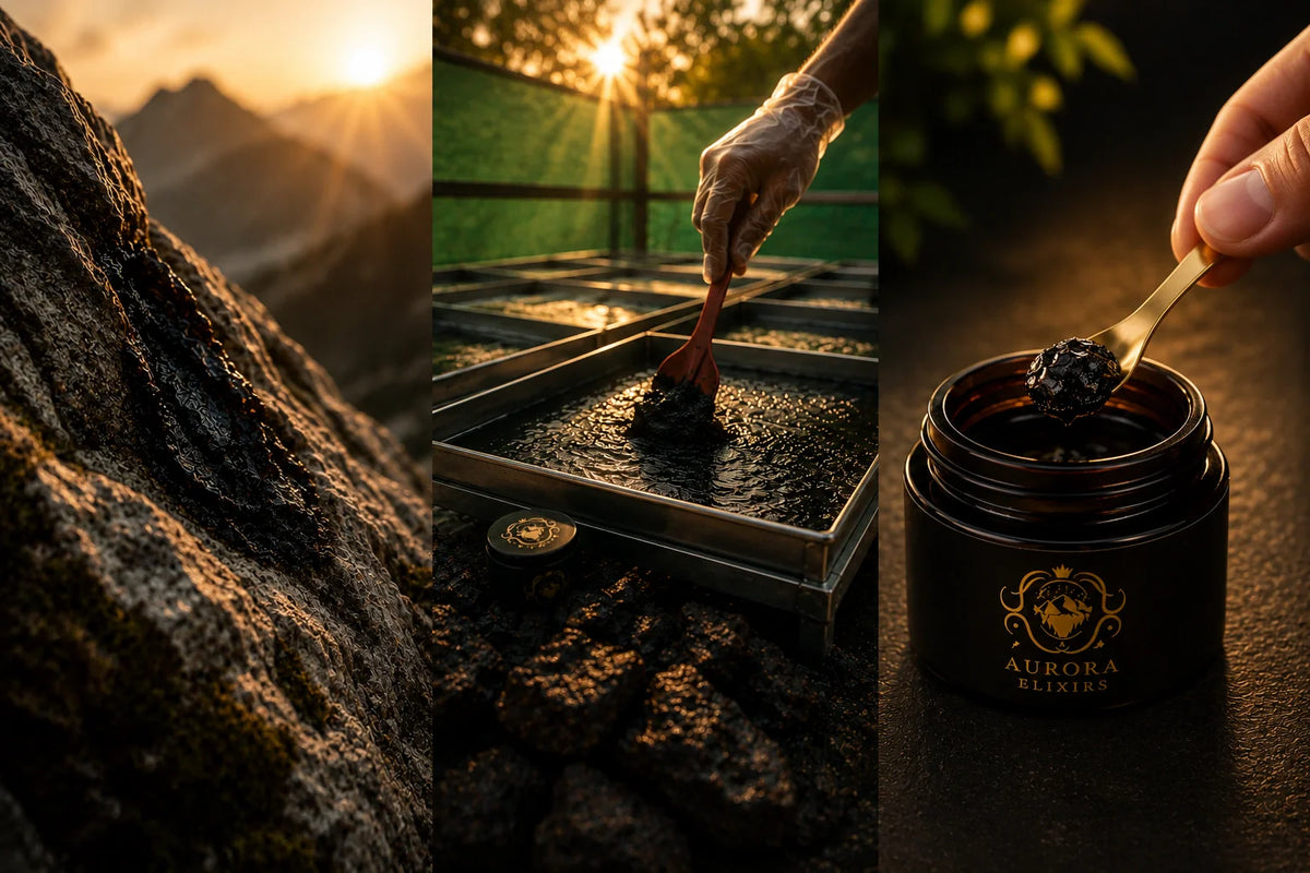 ¿Cómo Se Purifica El Shilajit?