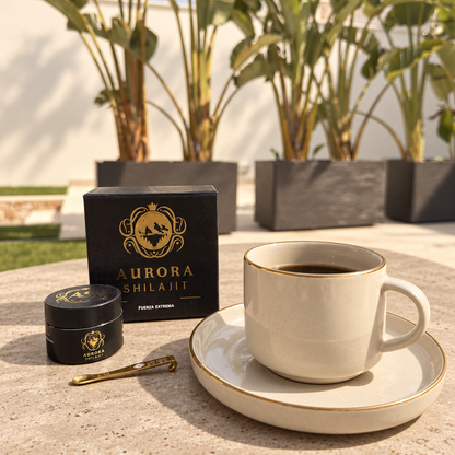 Purified Shilajit resin 30g with Aurora packaging